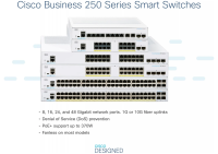 Cisco Small Business CBS250-48T-4X-UK - Network Switch