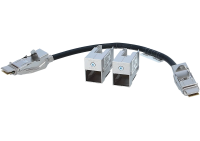 Cisco C9300L-STACK-KIT2 - Stacking Cable