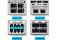 Cisco C9300X-NM-2C - Network Module