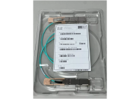 Cisco QSFP-100G-AOC1M= - Fibre Optic Cable